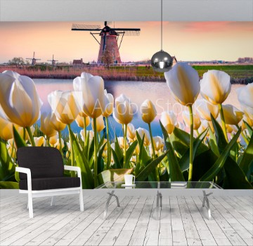 Bild på The famous Dutch windmills